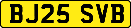 BJ25SVB
