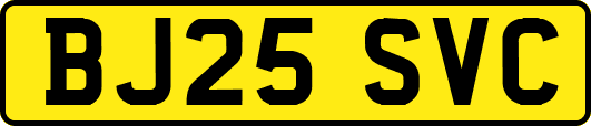 BJ25SVC