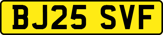 BJ25SVF