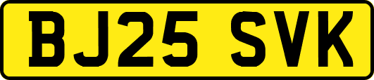 BJ25SVK