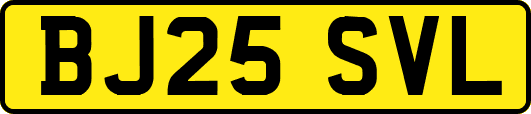 BJ25SVL