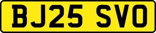 BJ25SVO