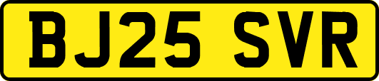 BJ25SVR