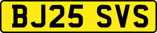 BJ25SVS