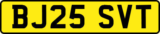 BJ25SVT