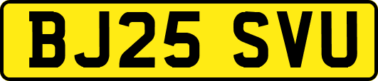 BJ25SVU