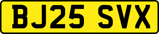 BJ25SVX