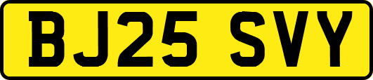 BJ25SVY