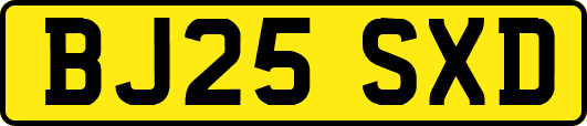 BJ25SXD