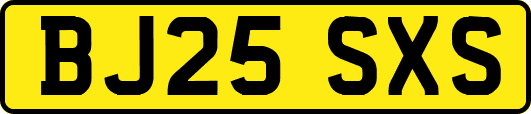 BJ25SXS