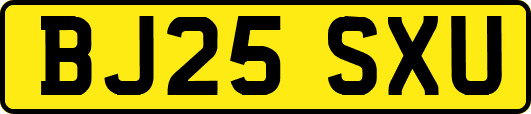 BJ25SXU
