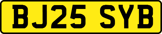BJ25SYB