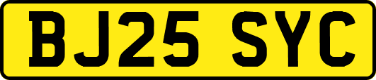 BJ25SYC