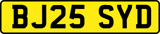 BJ25SYD