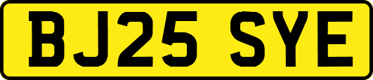 BJ25SYE
