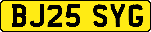 BJ25SYG