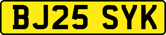 BJ25SYK