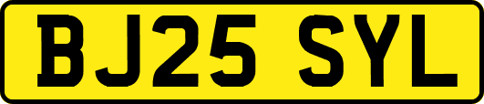 BJ25SYL