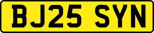 BJ25SYN