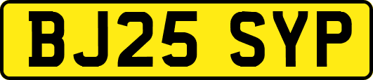 BJ25SYP