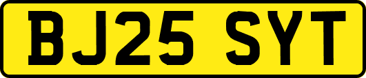 BJ25SYT