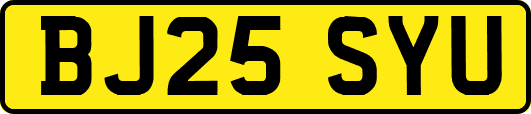 BJ25SYU