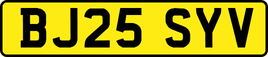BJ25SYV