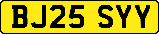 BJ25SYY