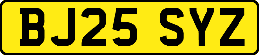 BJ25SYZ