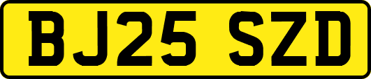 BJ25SZD