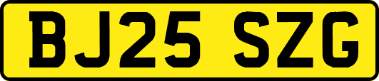 BJ25SZG