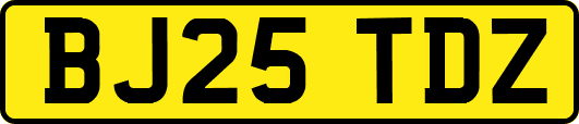 BJ25TDZ