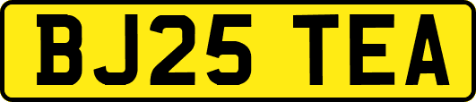 BJ25TEA