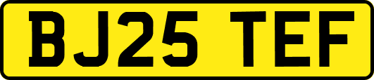 BJ25TEF