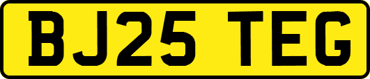 BJ25TEG