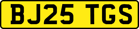 BJ25TGS