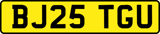 BJ25TGU