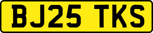 BJ25TKS