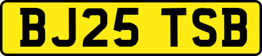 BJ25TSB