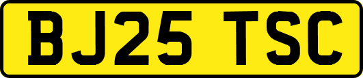 BJ25TSC