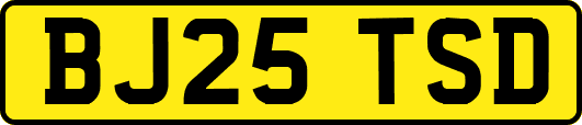 BJ25TSD