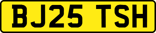 BJ25TSH