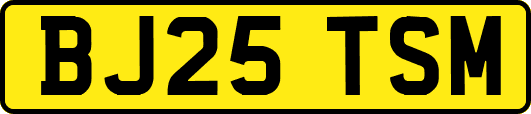BJ25TSM