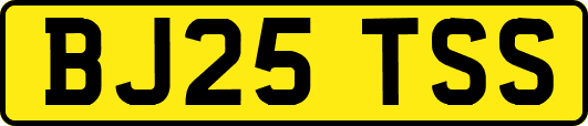 BJ25TSS