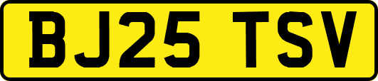 BJ25TSV
