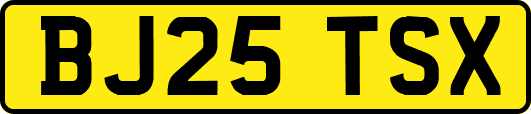 BJ25TSX