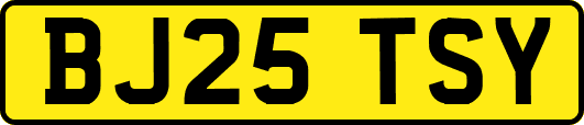 BJ25TSY