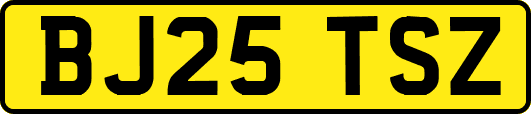 BJ25TSZ