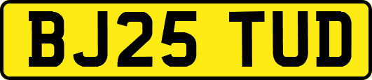 BJ25TUD