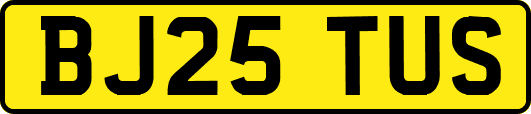 BJ25TUS
